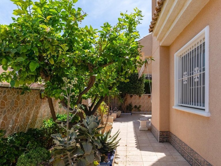 Villa for Sale in Torrevieja, Alicante 31