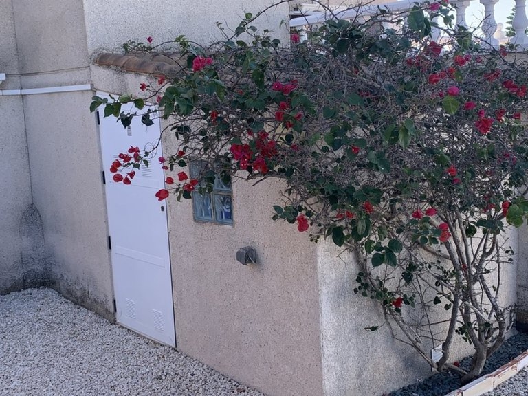 Villa for Sale in Orihuela Costa, Alicante 24