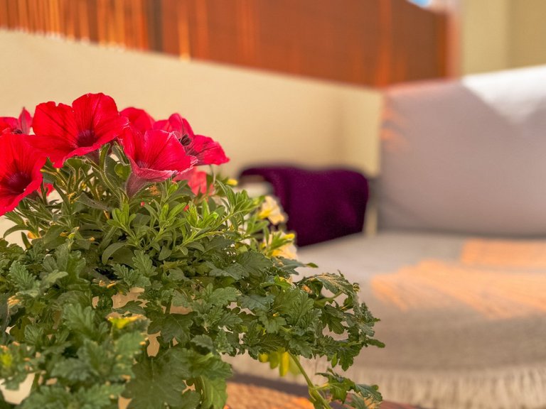 Villa for Sale in Orihuela Costa, Alicante 17