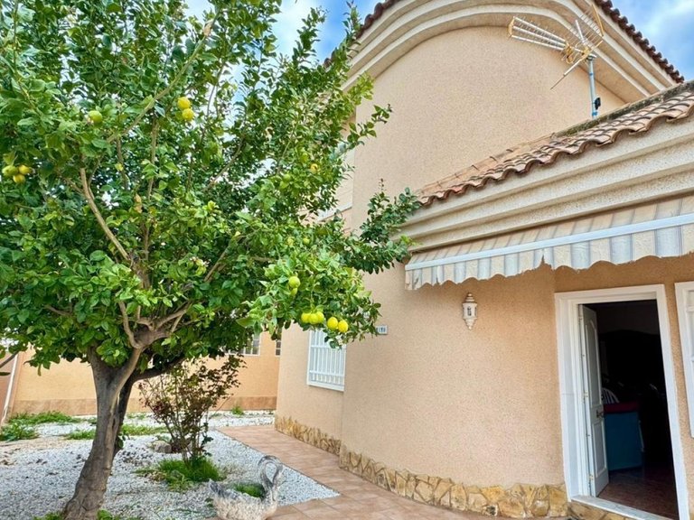 Villa for Sale in Torrevieja, Alicante 31