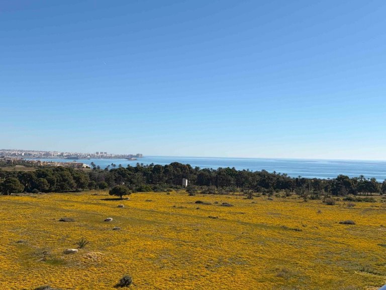 Apartment for Sale in Punta Prima, Orihuela Costa, Alicante 1
