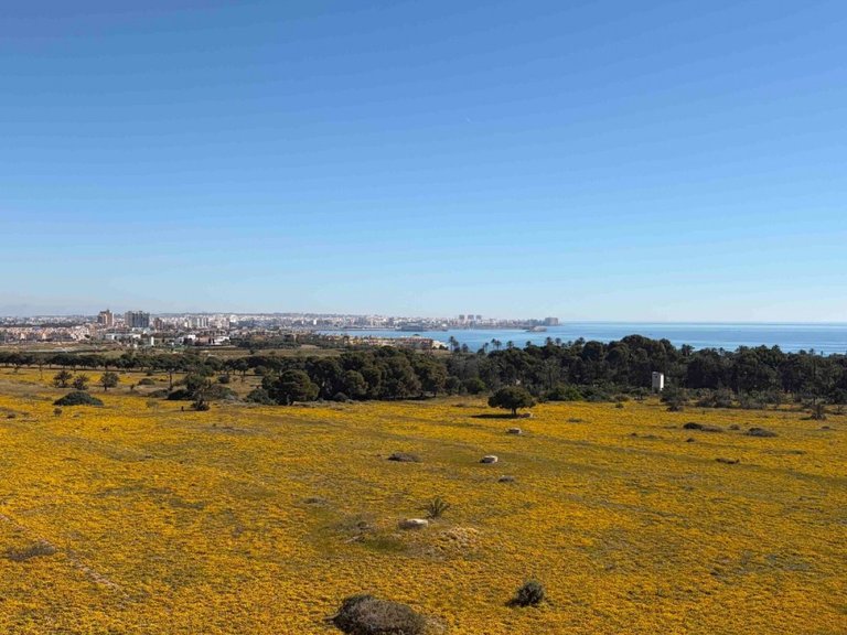 Apartment for Sale in Punta Prima, Orihuela Costa, Alicante 8