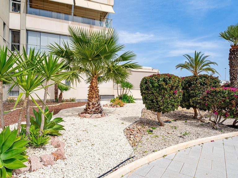 Apartment for Sale in Orihuela Costa, Alicante 6