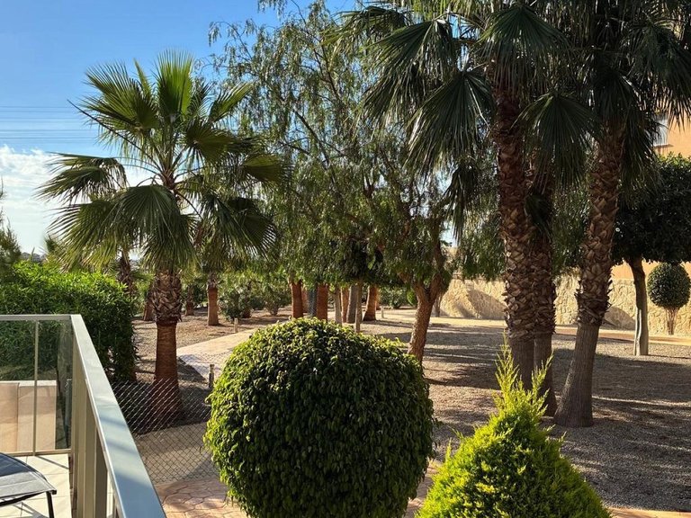 Apartment for Sale in Orihuela Costa, Alicante 9