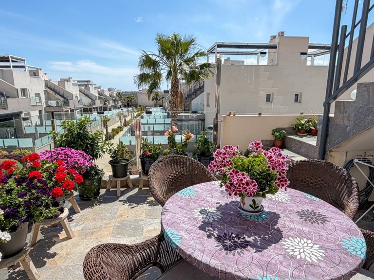 Apartment for Sale in Torrevieja, Alicante 4