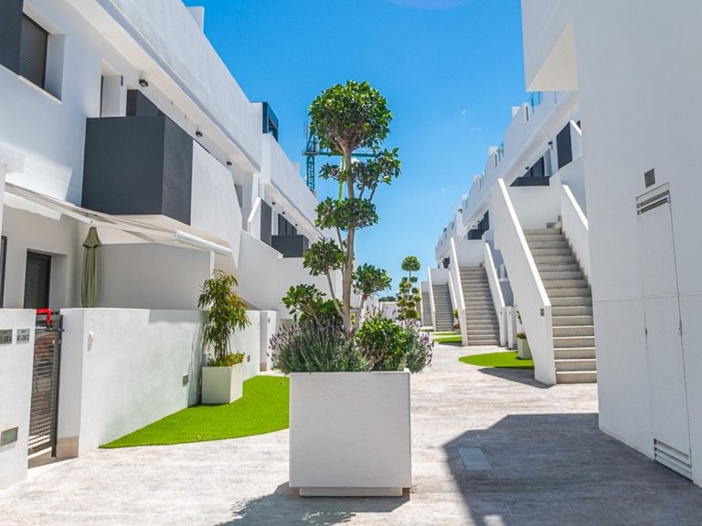 Apartment for Sale in Torrevieja, Alicante 2