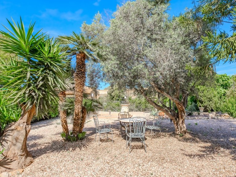 Country House for Sale in Rojales, Alicante 14