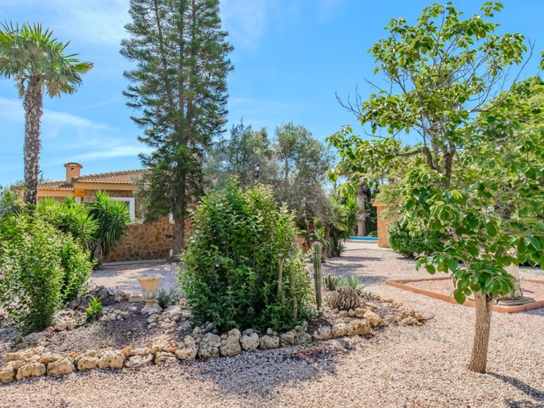 Country House for Sale in Rojales, Alicante 15
