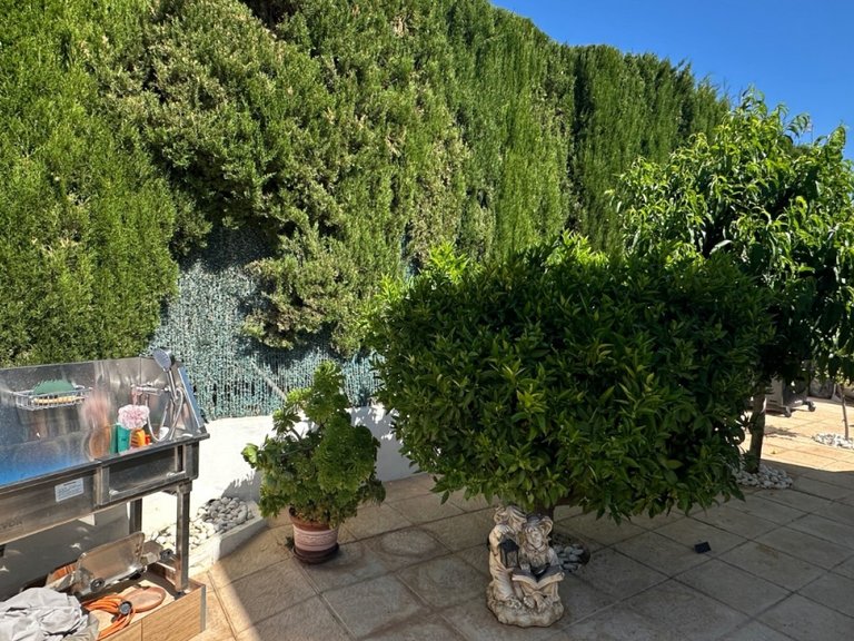 Town House for Sale in Torrevieja, Alicante 27
