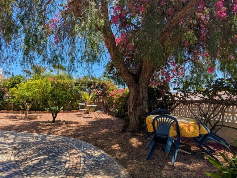 Villa for Sale in Ciudad Quesada, Alicante 5