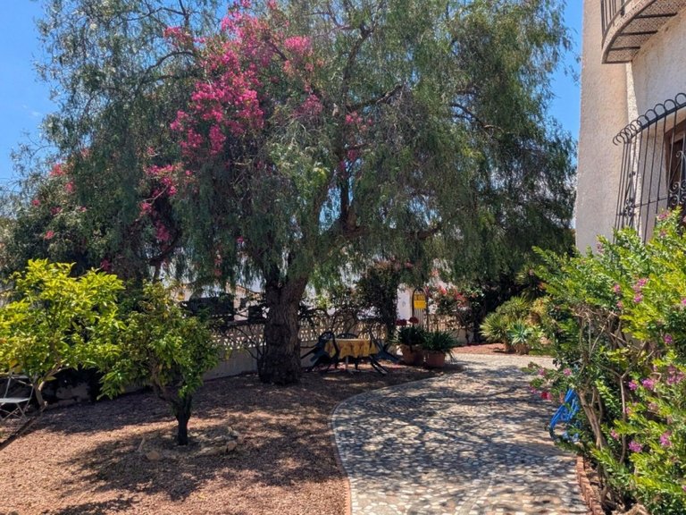 Villa for Sale in Ciudad Quesada, Alicante 9
