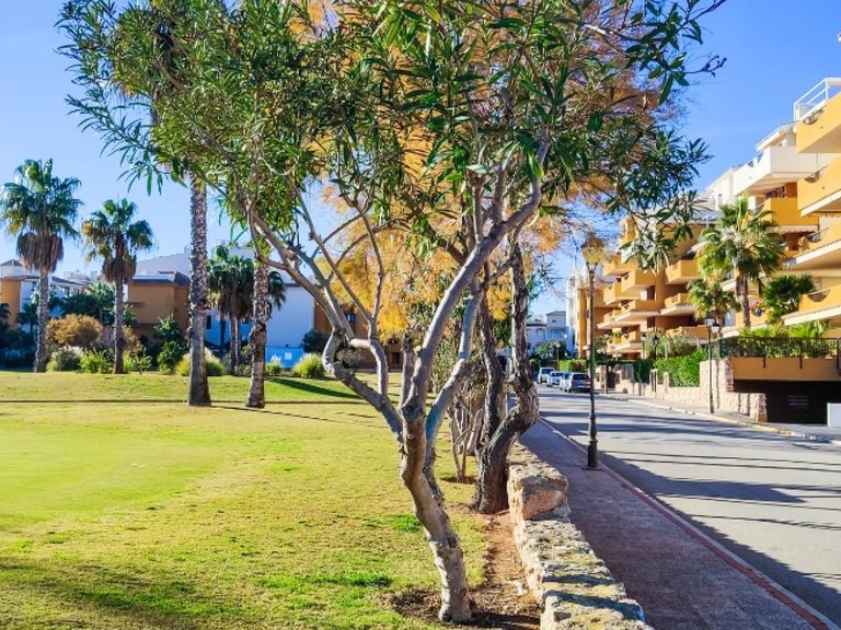 Apartment for Sale in Orihuela Costa, Alicante 45