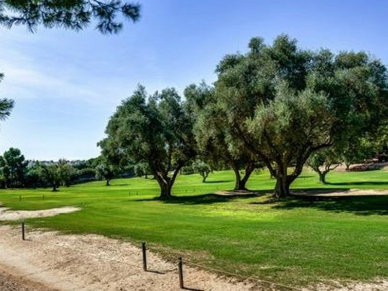 Town House for Sale in Orihuela Costa, Alicante 46