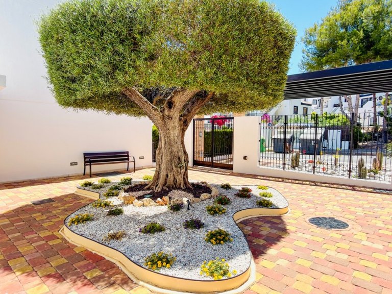 Apartment for Sale in Orihuela Costa, Alicante 31