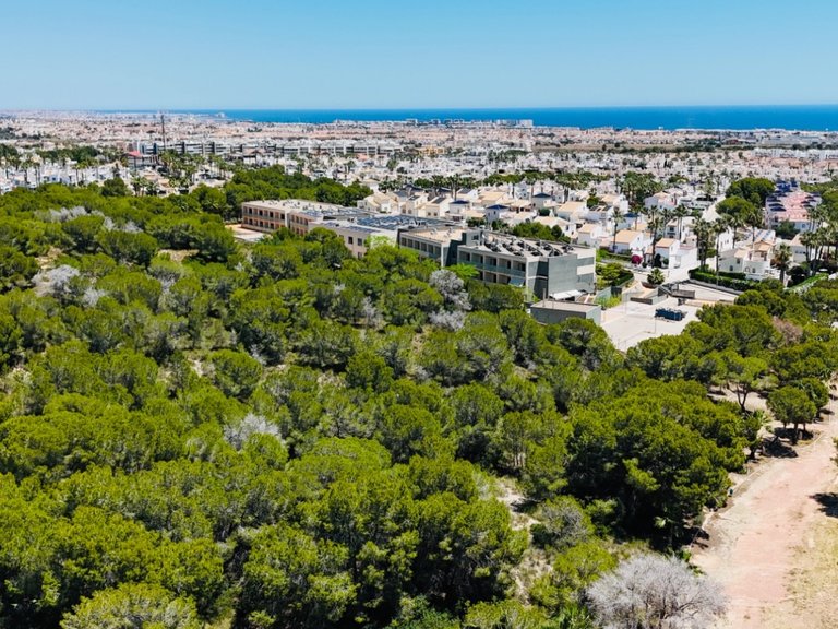 Apartment for Sale in Orihuela Costa, Alicante 35
