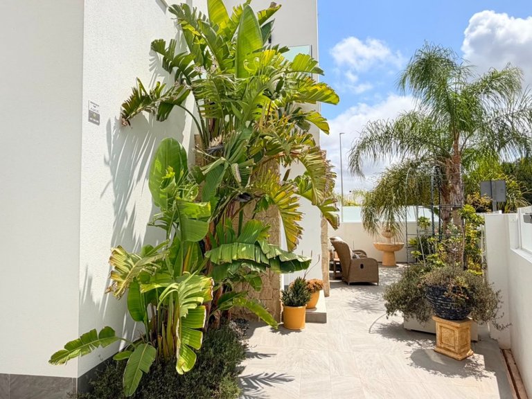 Villa for Sale in Los Montesinos, Alicante 10