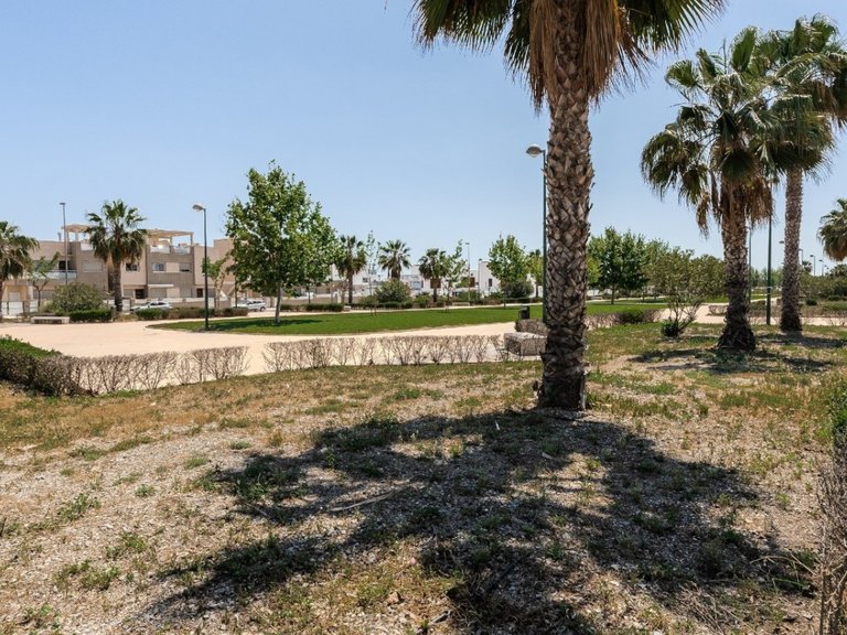 Apartment for Sale in Torre De La Horadada, Alicante 36