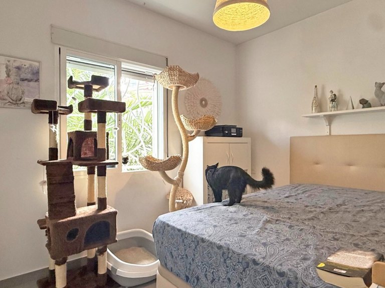 Villa for Sale in Rojales, Alicante 25