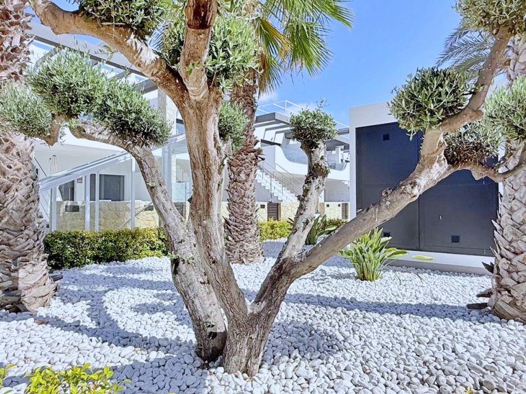 Apartment for Sale in Orihuela Costa, Alicante 36