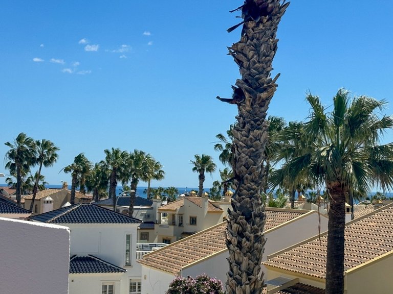 Town House for Sale in Orihuela Costa, Alicante 34