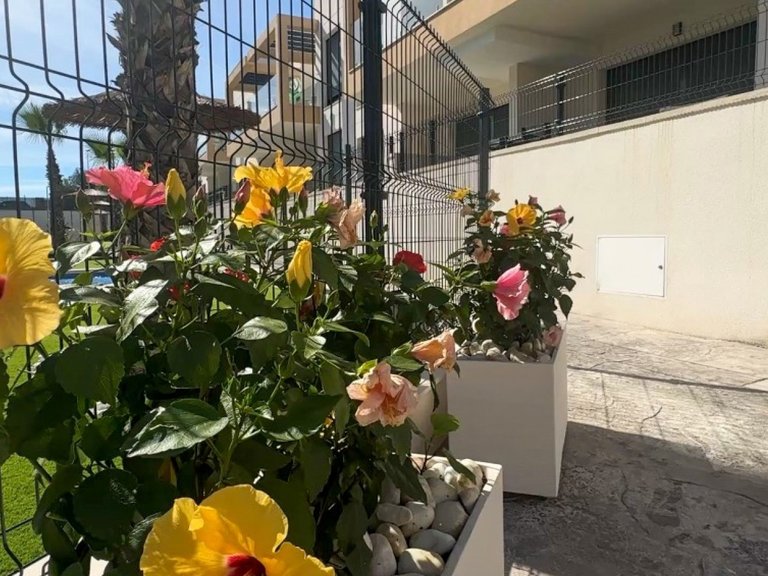 Villa for Sale in Orihuela Costa, Alicante 37