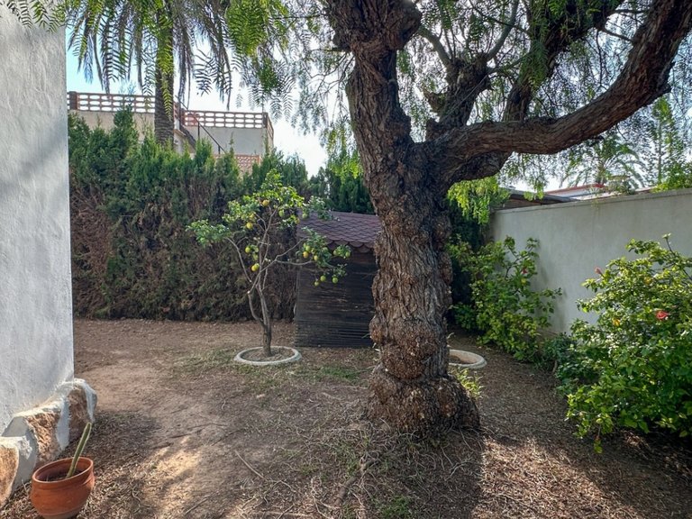 Villa for Sale in Orihuela Costa, Alicante 39