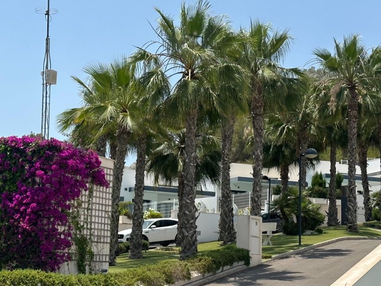 Villa for Sale in San Miguel De Salinas, Alicante 39