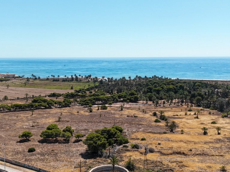 Apartment for Sale in Torrevieja, Alicante 43