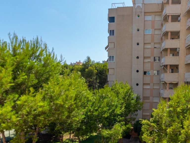 Apartment for Sale in Orihuela Costa, Alicante 13