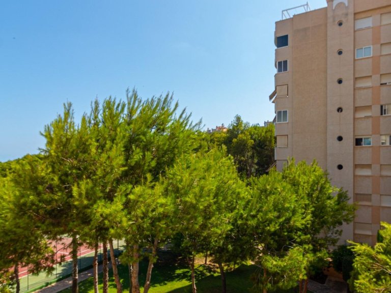Apartment for Sale in Orihuela Costa, Alicante 14