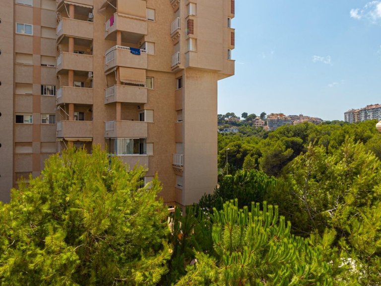 Apartment for Sale in Orihuela Costa, Alicante 15