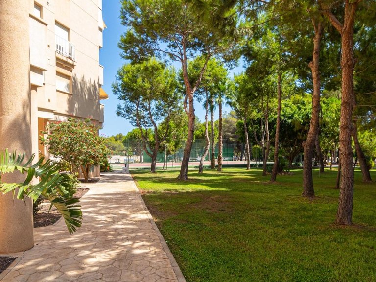 Apartment for Sale in Orihuela Costa, Alicante 20