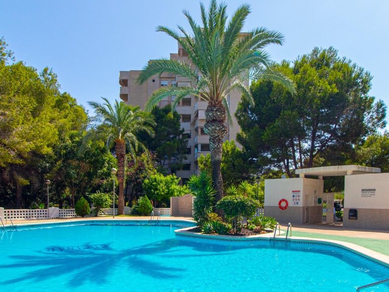 Apartment for Sale in Orihuela Costa, Alicante 25