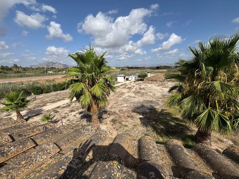 Villa for Sale in Catral, Alicante 31