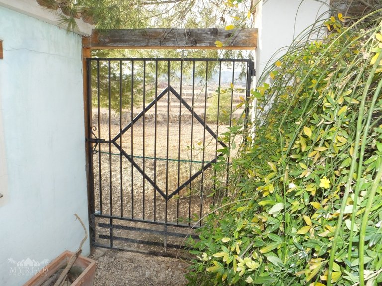 Country House for Sale in Pinoso, Alicante 40