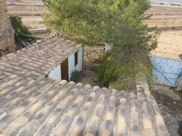 Country House for Sale in Pinoso, Alicante 37