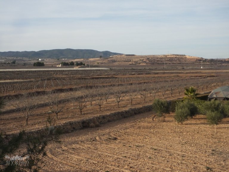 Country House for Sale in Pinoso, Alicante 39