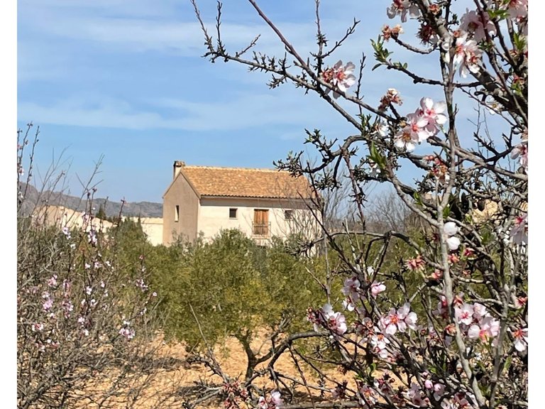 Country House for Sale in Raspay, Murcia 3