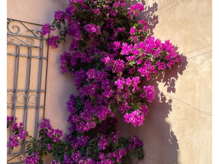 Country House for Sale in Raspay, Murcia 5