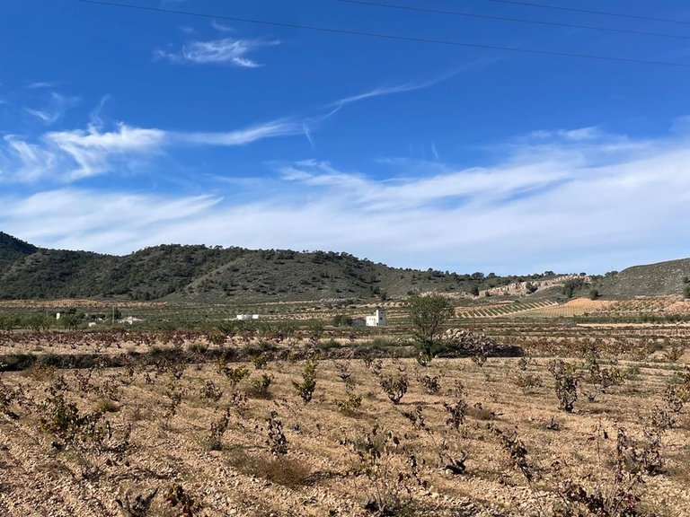 Country House for Sale in Cañada De La Leña, Murcia 48