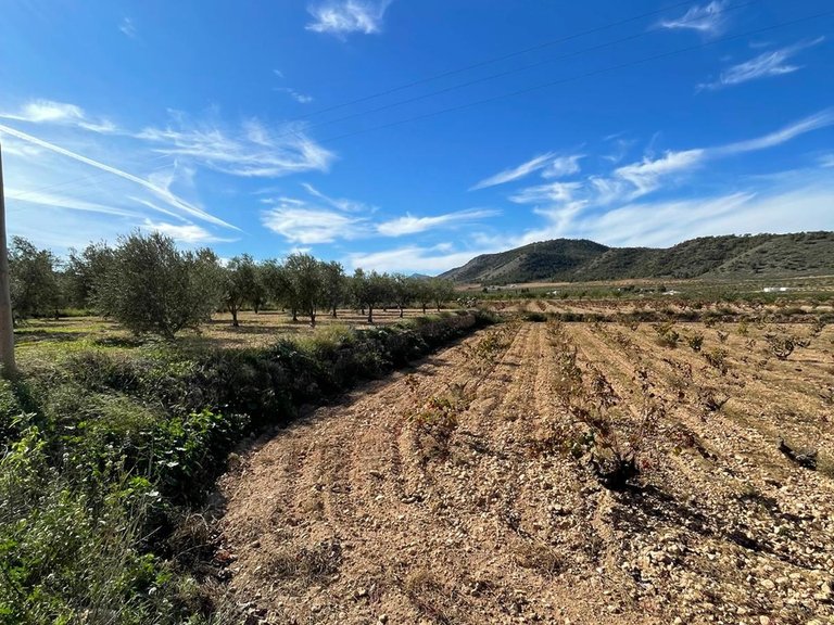 Country House for Sale in Cañada De La Leña, Murcia 49