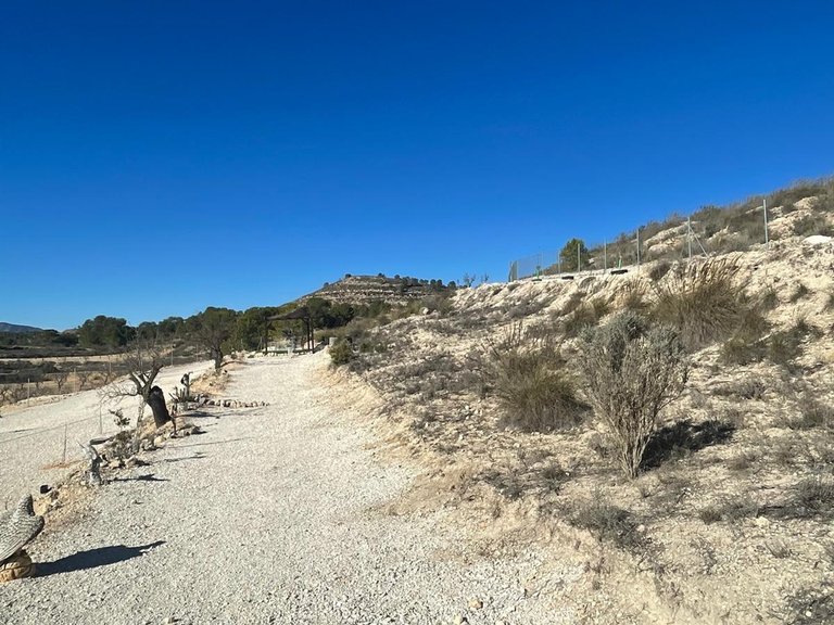 Plot for Sale in Culebr&oacute;n, Alicante 11