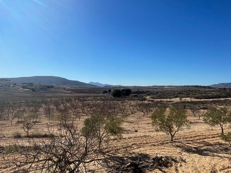 Plot for Sale in Culebr&oacute;n, Alicante 16