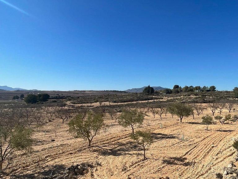 Plot for Sale in Culebr&oacute;n, Alicante 13