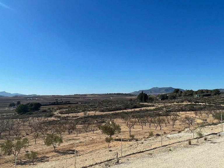 Plot for Sale in Culebr&oacute;n, Alicante 22