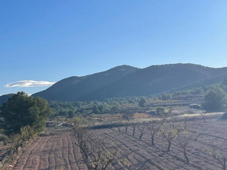 Villa for Sale in Pinoso, Alicante 45