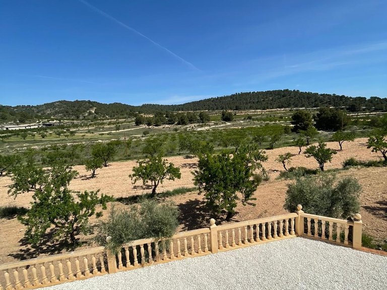 Villa for Sale in Pinoso, Alicante 5
