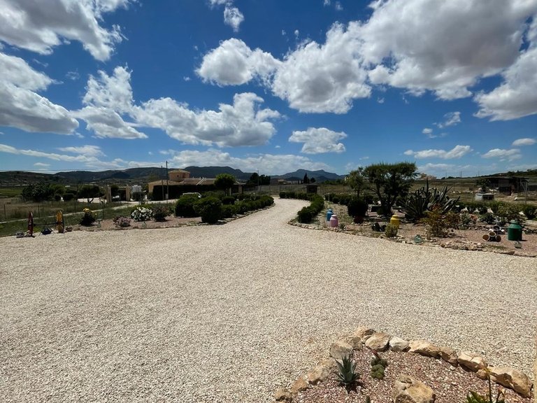 Villa for Sale in Pinoso, Alicante 38