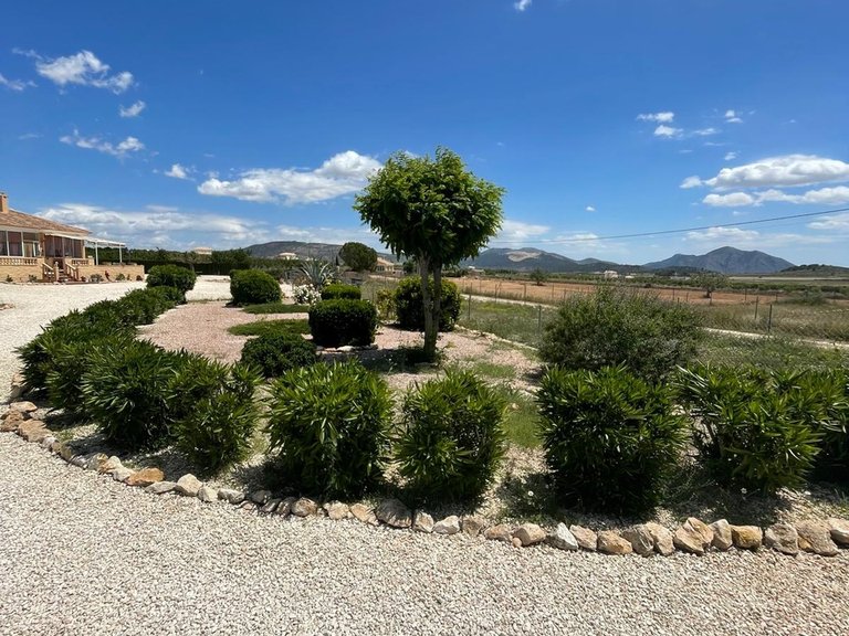 Villa for Sale in Pinoso, Alicante 42