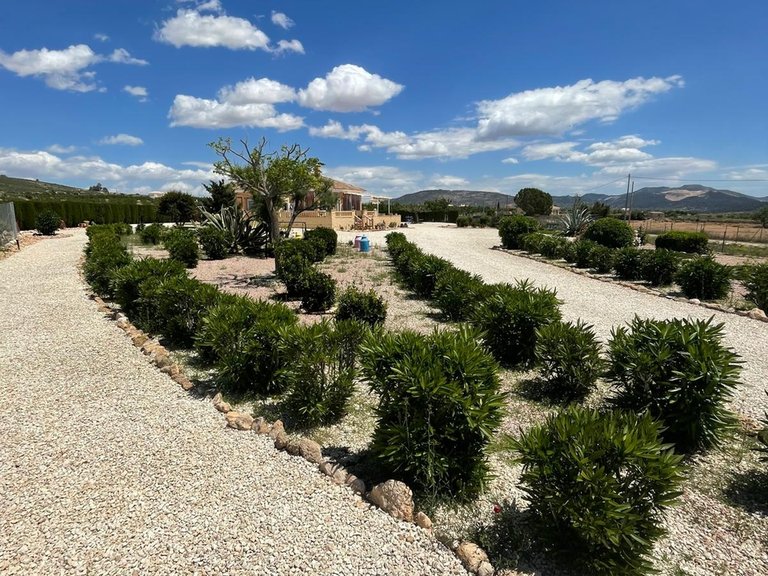 Villa for Sale in Pinoso, Alicante 43